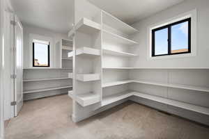 Spacious closet with light carpet