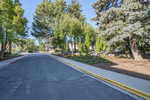 View of asphalt street with sidewalks and curbs