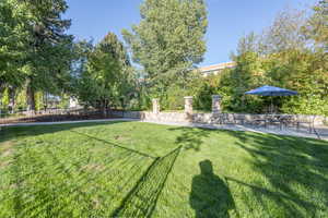 View of yard featuring a patio