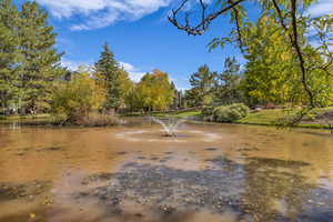 Water view featuring a tree filled landscape