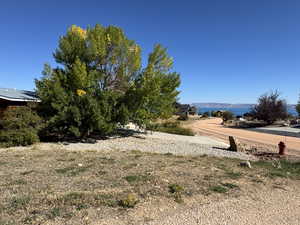 View of yard with a mountain view