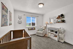 Bedroom with carpet floors, a textured ceiling, and a nursery area
