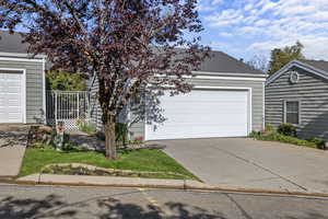 View of front facade featuring a shingled roof and concrete driveway