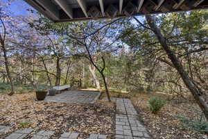 View of yard featuring a patio area