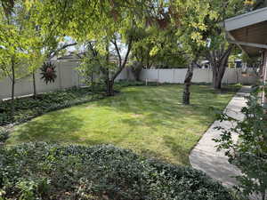 View of fenced backyard