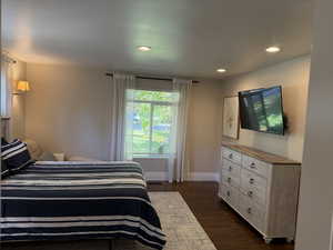 Bedroom featuring dark wood  flooring and recessed lighting