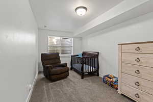 Bedroom featuring carpet floors and a nursery area