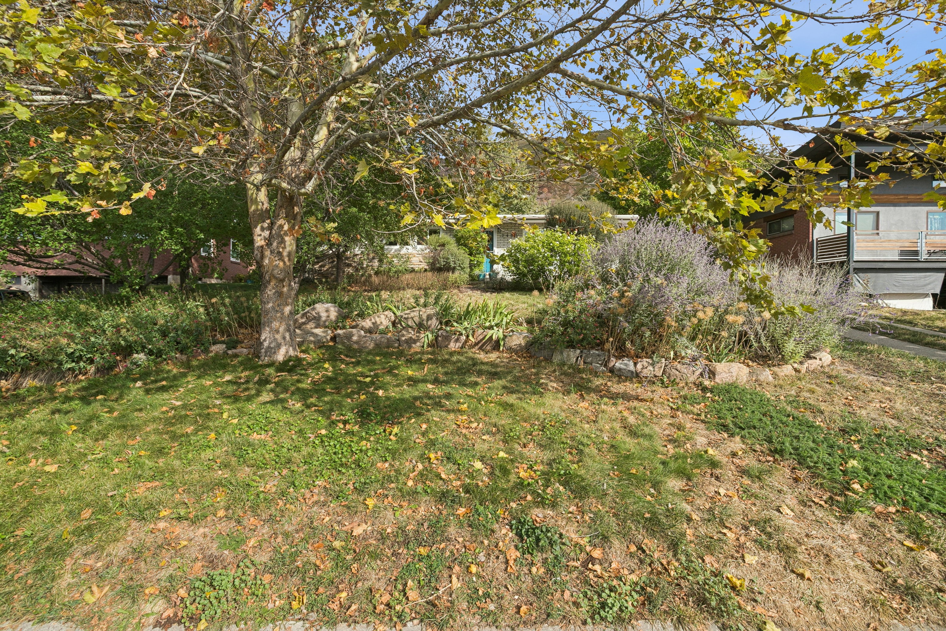View of green lawn