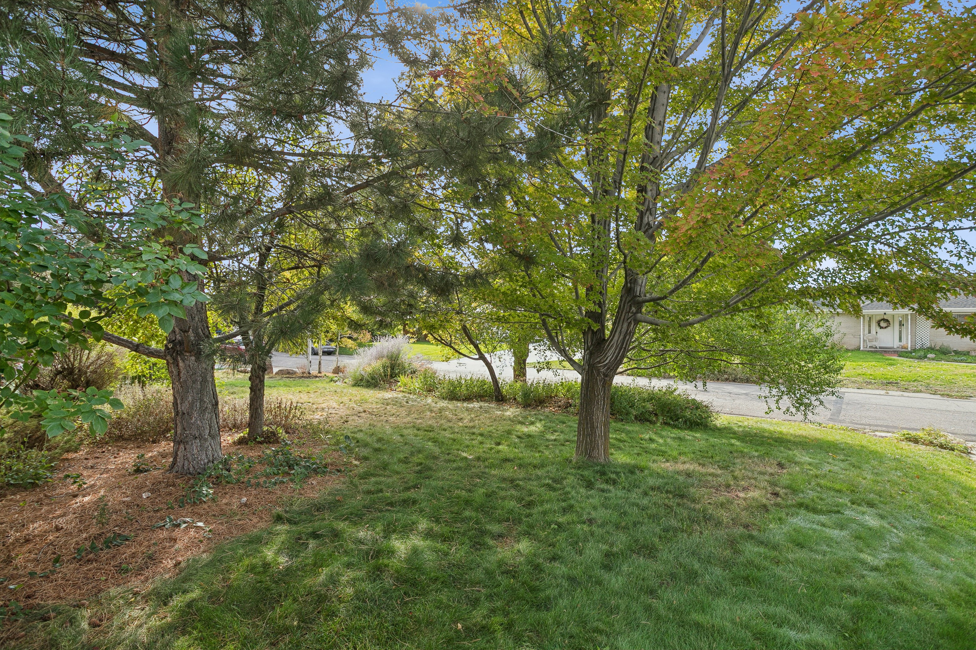 View of green lawn