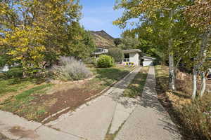 View of property hidden behind natural elements featuring concrete driveway, a garage, a front lawn, and a mountain view