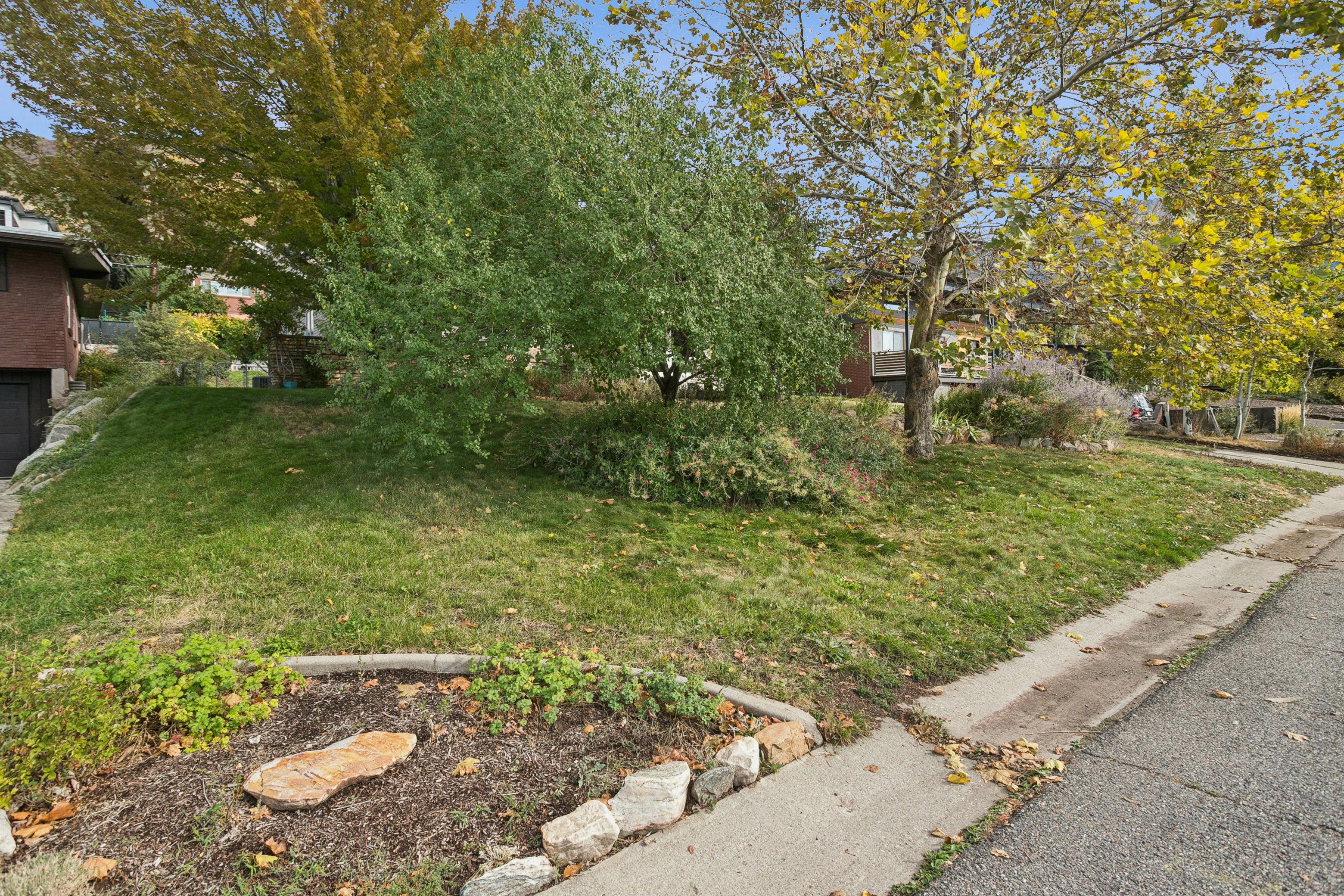 View of green lawn