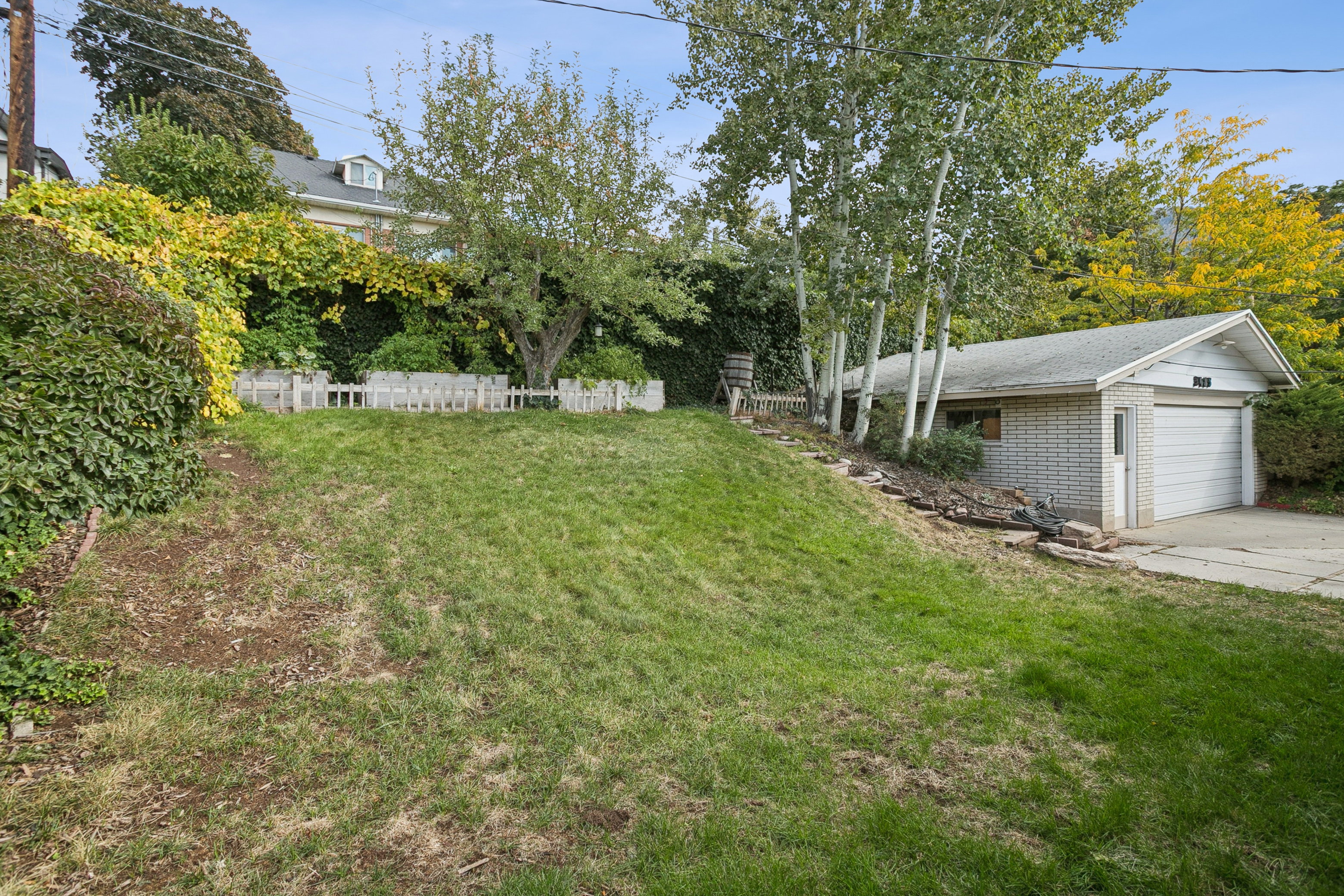 View of yard with concrete driveway