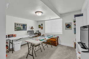 Office with light carpet and a textured ceiling