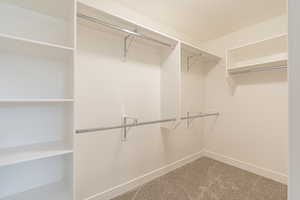 Spacious closet with carpet flooring