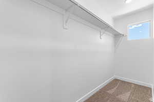 Spacious closet featuring carpet