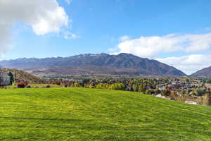 View of mountain background from the backyard