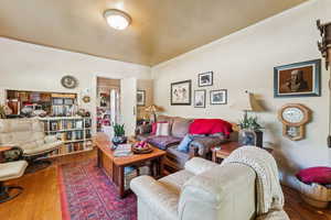 Living room featuring crown molding and wood-type flooring