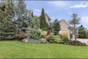View of grassy yard with driveway