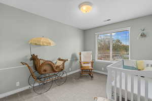 Bedroom with a nursery area and light carpet