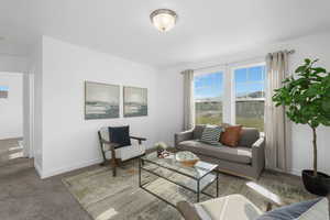 Living room with carpet flooring