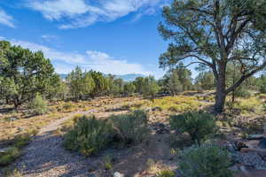 View of tree filled area featuring a mountain view