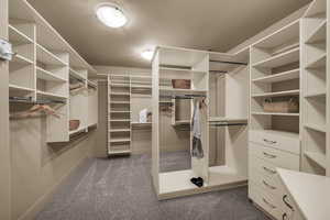 Walk in closet featuring dark colored carpet