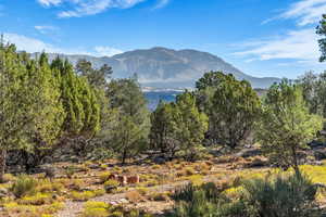 View of mountain background