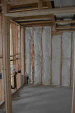 View of unfinished basement