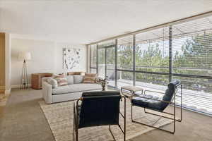 Carpeted living room