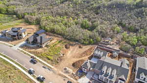 Expansive property with multiple building sites bordered by mature trees