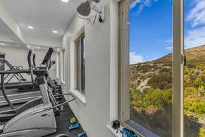 Weights and Cardio Equipment with a View