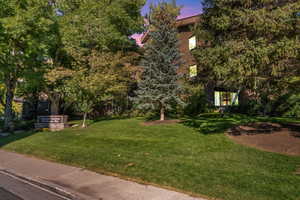 View of community featuring a lawn
