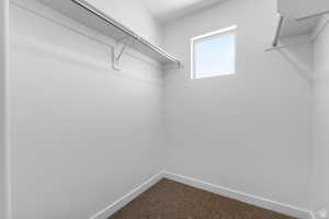 Walk in closet featuring carpet