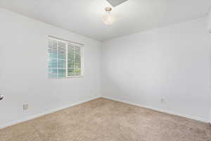 Carpeted bedroom with baseboards and a textured ceiling