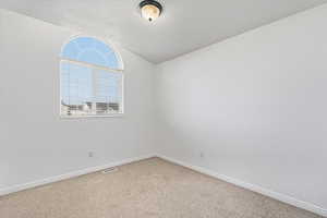 Bedroom featuring lofted ceiling and a textured ceiling