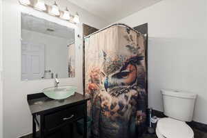 Bathroom featuring vanity, a textured ceiling, and a shower with curtain