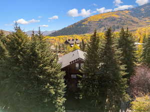 Mountain view with a forest