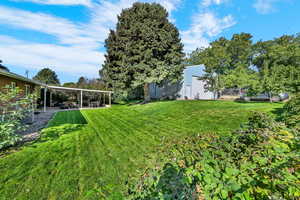 View of green lawn featuring a patio and an outdoor structure