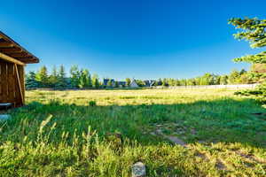 View of yard featuring a view of countryside and view of wooded area