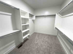 Spacious closet featuring light carpet