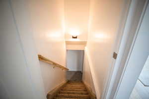 Stairs with carpet flooring