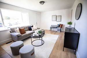 Living room featuring light wood-type flooring