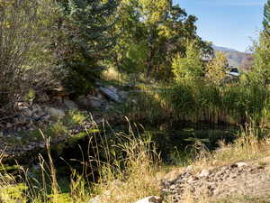 Pond on barn lot.