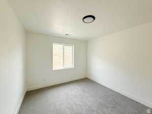 Unfurnished room featuring light colored carpet and a textured ceiling