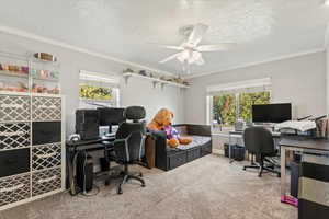 Home office featuring ornamental molding, light colored carpet, a textured ceiling, and a ceiling fan