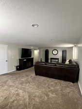 Living area with carpet, a textured ceiling, and a fireplace