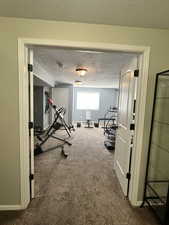 Workout room featuring a textured ceiling and carpet floors