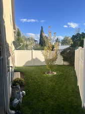 View of fenced backyard