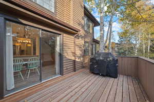 Wooden terrace with area for grilling