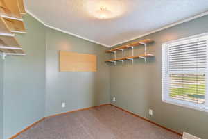 Carpeted spare room with a textured ceiling and crown molding